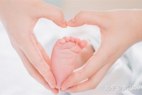http://jinan.51dzb.net/post/188.html|济南新闻中心